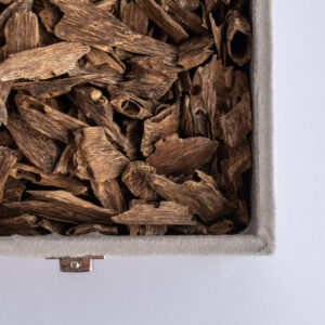 بونتيانك دبل فيس