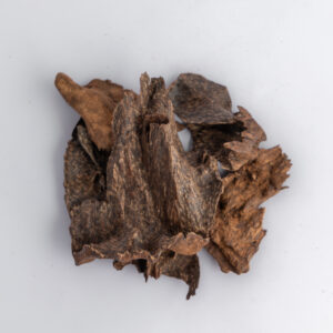 قواقع العود السيلاني