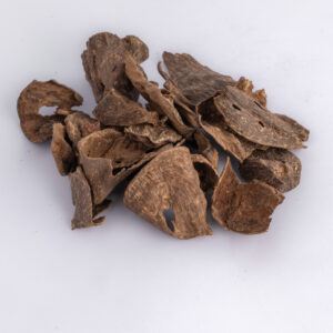 قواقع كمبودي