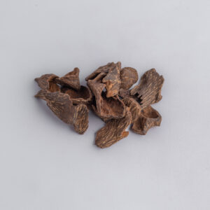 عود استرالي