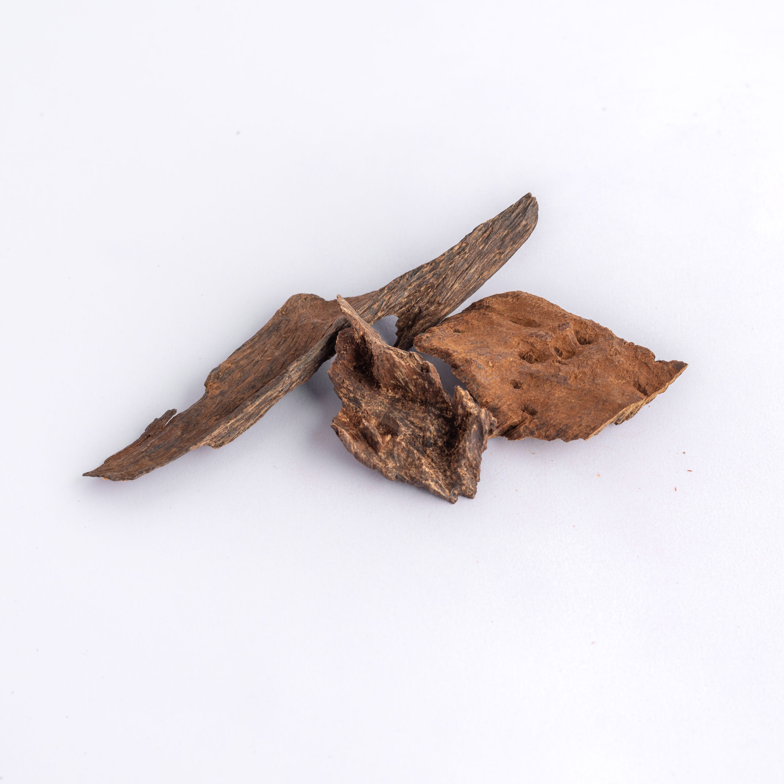 عود جزيرة بورنيو