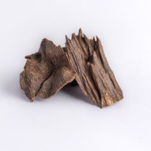 تشار مالاوي