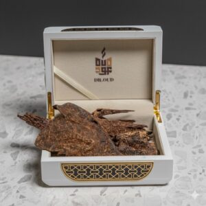 نوادر العود القديم