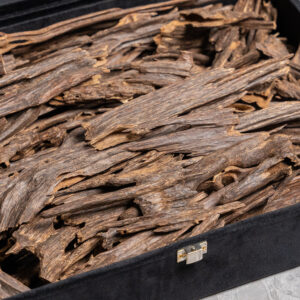 زورا هندي مستوى استثنائي